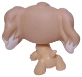 #0748 Cocker Spaniel